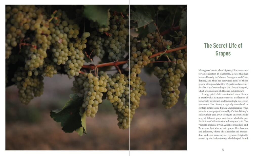 The New California Wine