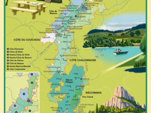 "The New French Wine" Map Poster: Burgundy